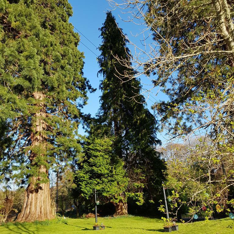 Bed & Breakfast Kilmichael House Drumnadrochit